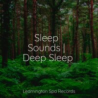 Peace and Tranquility - Meditation Awareness & Natural Sound Makers & Study Concentration