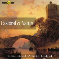 String Quintet In E, Op.13 N.5 Minuet - Луиджи Родольфо Боккерини