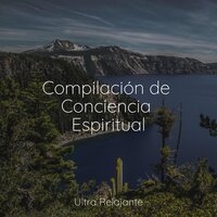 En el Bosque - Meditação Zen & Canção de Ninar Bebê & Sonidos De Truenos y Lluvia