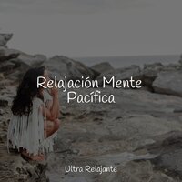 Atardecer Del Desierto - Especialistas de Musica para Dormir & Saludo al Sol Sonido Relajante & Fabricantes De Lluvia