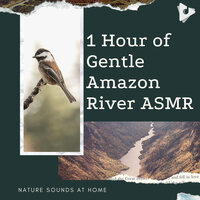 Birds Over The Gagne - Nature Sounds At Home & Water Sound Natural White Noise