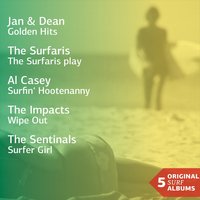 I'm a Hog for You - The Surfaris