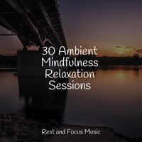 Chill-time Zealot - Nature Sounds Nature Music & The White Noise Zen & Meditation Sound Lab & Deep Sleep Music Academy