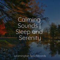 Clear Mind - Weather Factory & mindfulness meditation world & Brain Study Music Guys
