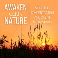 Pure Nature Sounds - Yoga Meditation Music Set