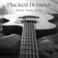 Spanish Guitar - Guitar Study Music