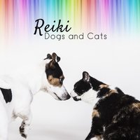 Sleep Through the Night - Pet Music Academy
