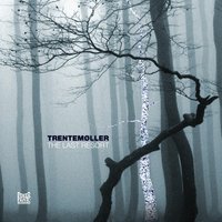 Snowflake - Trentemøller