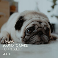 Cat Song - Calming Music for Dogs & Sleepy Dogs & Music For Dogs With Anxiety