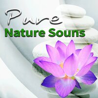 Relax Music for Healing - Gentle Instrumental Music Paradise