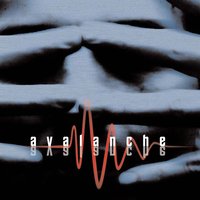 Dziękuję - Avalanche