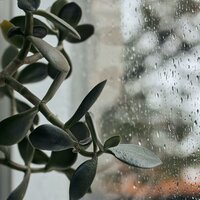 Hierba Soñolienta - Canciones de Cuna para Bebés Acadèmico & Academia de Música para Massagem e Relaxamento & Meditar Profundamente