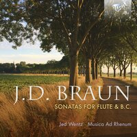 Flute sonata seconda in E Minor, Op. 5: I. Andante - Jed Wentz & Musica Ad Rhenum