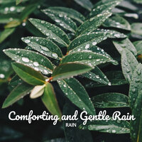 Tender Rainfall - Rain and Chill & Rainfall & Meditation Rain Sounds