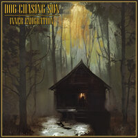 Throwing Stones - Dog Chasing Sun