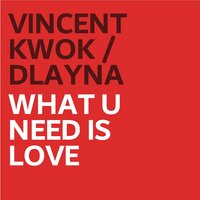 What U Need Is Love - Vincent Kwok & D'Layna & New Mondo