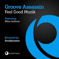 Feel Good Muzik - Groove Assassin & Mina Jackson