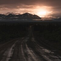 New Journeys - Carlos Ferreira & deer meadow
