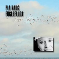 Brosten og Stjerner - Pia Raug & Steve Dobrogosz