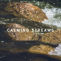 Hear the Streamside - 4D Nature Recordings