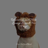 Detox the Mind - Official Pet Care Collection & RelaxMyDog & Music for Dogs Collective
