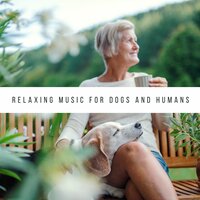 Music to Train a Dog - Dog Bedtime