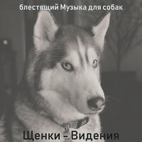 Атмосфера (Милые Собаки) - блестящий Музыка для собак