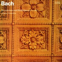Inventions Nos. 1-15, BWV 772-786: Invention No. 8 in F Major, BWV 779 - Amadeus Webersinke & Johann Sebastian Bach