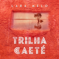 Pra Fazer um Bom Samba - Lara Melo