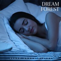Sleep Aid - Sleep Songs Divine