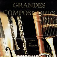 Symphony No. 5 in C Minor, Op. 67: II. Andante con moto - Ludwig van Beethoven & Radio Symphony Orchestra Ljubljana