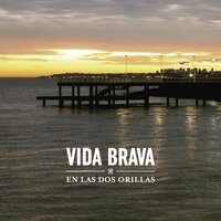Anoche alumbraba la luna - Vida Brava