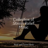 Chill Tunes - Monarch Baby Lullaby Institute & Studying Music & Massage Therapy Music