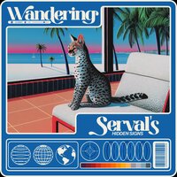 On Coral Cove Cruisers - Music for Dogs