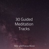 Submerged - Especialistas de Musica para Dormir & Musica Para Dormir y Sonidos de la Naturaleza & Music For Absolute Sleep