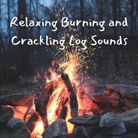 Flaming Tunes - Fireplace Sounds & Fire Sounds & Fireplace FX Studio
