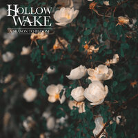 The Villain (Cheers to This) - Hollow Wake