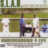 Where We Gone Swang - Trae Tha Truth & Lil B The Grinda