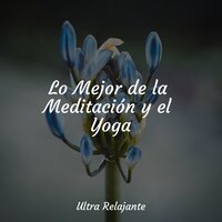 Laguna Cósmica - Unidad de música zen relajante & Meditacion & Musica Para Dormir y Sonidos de la Naturaleza