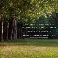 Symphony No. 40 in G Minor, K. 550; I. Allegro molto - Wiener Symphoniker & Вольфганг Амадей Моцарт