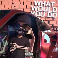 What Would You Do - Risky Blunt & Twista