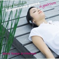 Vervain - Philippe Barraqué