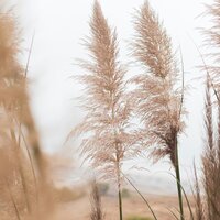 Melting Away - Lullabies for Deep Meditation & Massagem & Natural Nature Makers