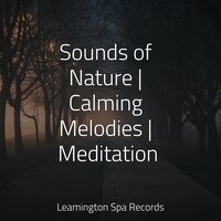 Sleep Aid - Sleepy Times & Calming Sounds & Sound Sleeping