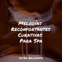 Hora De La Conexión - Masaje Relajante Masters & Canção de Ninar Bebê & Massagem Guru