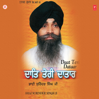 Kaahe Mann Tu Dolta - Bhai Surinder Singh