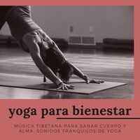 Ejercicios de Respiración - Bienestar Maestro
