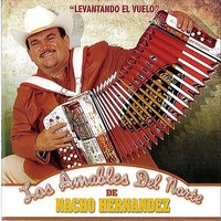 El Precio - Los Amables del Norte