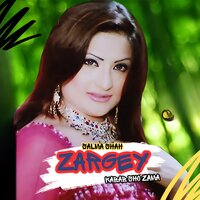 Zargey Kabab Sho Zama - Salma Shah
