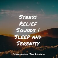 Sounds of the Ocean - Oasis of Meditation & Massage Music & Internal Yoga